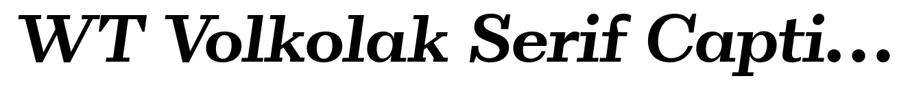 WT Volkolak Serif Caption Bold Italic